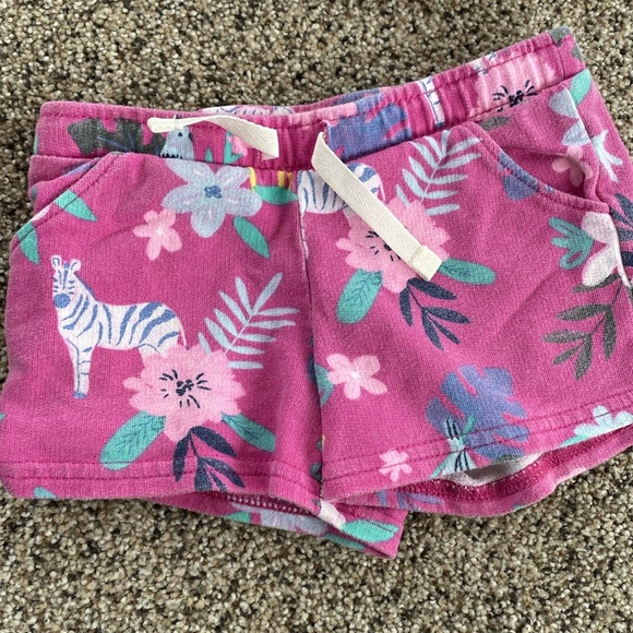 2t Girls lot- shorts and tops. Carter’s, Jumping Bean, Garanimals. - Picture 2 of 6